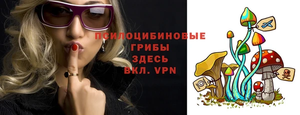 молекула духа Алексин