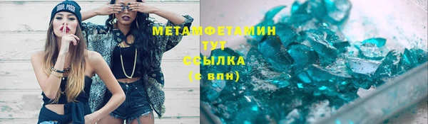 прущие грибы Абинск