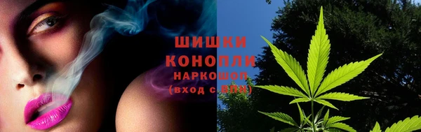 spice Абаза