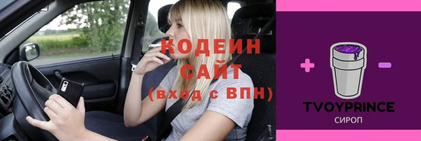 молекула духа Алексин