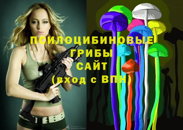 spice Абаза