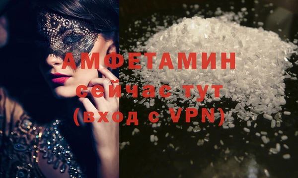 прущие грибы Абинск